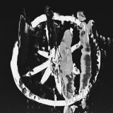 Heartworms - A Comforting Notion