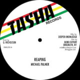 Michael Palmer - Reaping