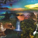 TORTOISE - IT'S ALL AROUND YOU  (INDIE EXCLUSIVE)