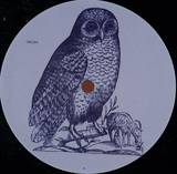 Unknown Artist - Owl 4