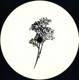 Uchi - Plangent #006