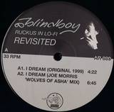 Blindboy - Ruckus In Lo Fi Mini Lp