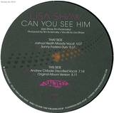 Lisa Shaw - Can You See Him