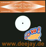 Digital Delinquents - To Do Anything