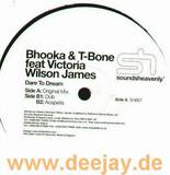 Bhooka & T Bone - Dare To Dream