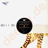 Nation Grooves Feat.lane - Walking In The Rain