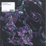 Helena Hauff - Living With Ladybirds LP