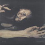 ishome - carpet watcher 2x12"