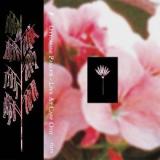 Ottomani Parker - Live At Cafe Oto (TAPE)