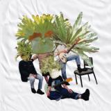 Phantastic Ferniture - Change my Mind / Dare to Fall in Love (7")