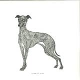 Locas In Love - Use Your Illusion 3&4 (2lp)