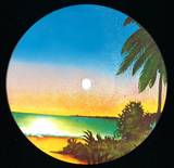 Black Booby - Dickies Dubs
