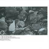 Sigha - The Politics Of Dying