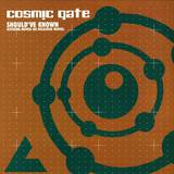 Cosmic Gate - *2* Should've Known