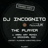 Dj Incognito - The Player