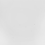 Todd Anderson-Kunert - Conjectures