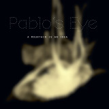 Pablo's Eye - A mountain is an idea LP