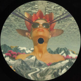 Adam Collins - MSR 002