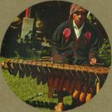 Steve Reich / Hnny - Nagoya Marimba