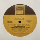 Marvin Gaye - What's Going On / Got To Give It Up "House Remixes"