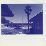 Johannes Albert - Suburban Fantasies