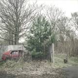 Scherbe - Late Nite Safari