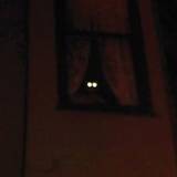 Thee Oh Sees - Fortress
