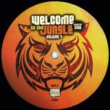 Welcome To The Jungle Vol. 4 - Sampler 2