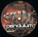 Pendulum - Hold Your Colour (Bipolar Vocal Mix)