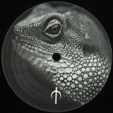 WCYA - Disturbance of Perception