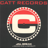 JAIL BREAK - Feeling Wild / Mentality