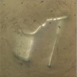 SPFDJ - Heel Thyself