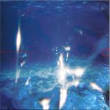 FABIANO DO NASCIMENTO & E RUSCHA V - AQUÁTICOS