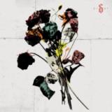 Shinedown - EI8HT 2x12