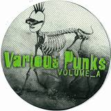 Datapunk Records - 2x12" Various Punks