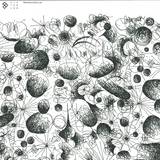 Mashkov & Aurum / Alex Celler / Bronxy - Afr