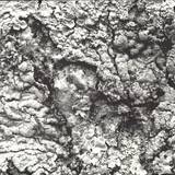 Aleks - Future Dialect Ep