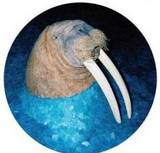 Tross - The Walrus Ep - Picture Disc