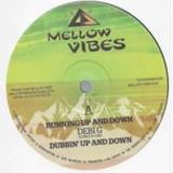 Sister Sherin, Debi G, Iniverse, Mellow Vibes - Running Up And Down / Trod A Long