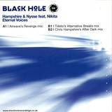Hampshire & Nysse - Eternal Voices