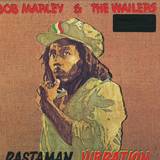 Bob Marley - Rastaman Vibration