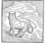 VALENTINA MAGALETTI & YPY - KANSAI BRUISES