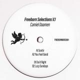 Camiel Daamen - Freeborn Selections Vol 1 LP