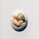 Shygirl - SWALLOW LP