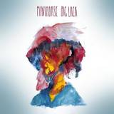 Minihorse - Big Lack