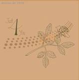 George Smallwood - Just 4 U