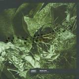 Sei2ure - Noise Pollution