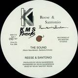 Reese & Santonio - The Sound / How To Play Our Music