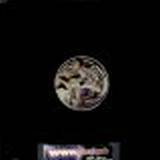 Loni Gamble - Could It Be Love