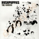 Hushpuppies - The Garden